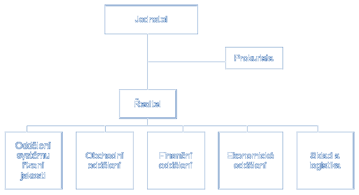 Organizační struktura
